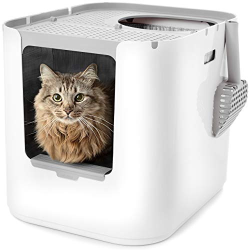 Modkat XL Litter Box Review Tick Rated