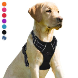BARKBAY No-Pull Dog Harness