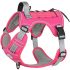 Downtown Pet Supply Dog Harness