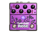 Eventide Rose
