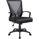 Swivel Lumbar Support Desk Chair