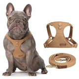 Dog Harness with Multifunction Dog Leash
