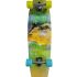 seething Longboard Skateboard Complete Cruiser Pintail