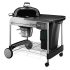 PK Grills Original PK300 Grill and Smoker