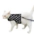 PetSafe Come With Me Kitty Cat Harness